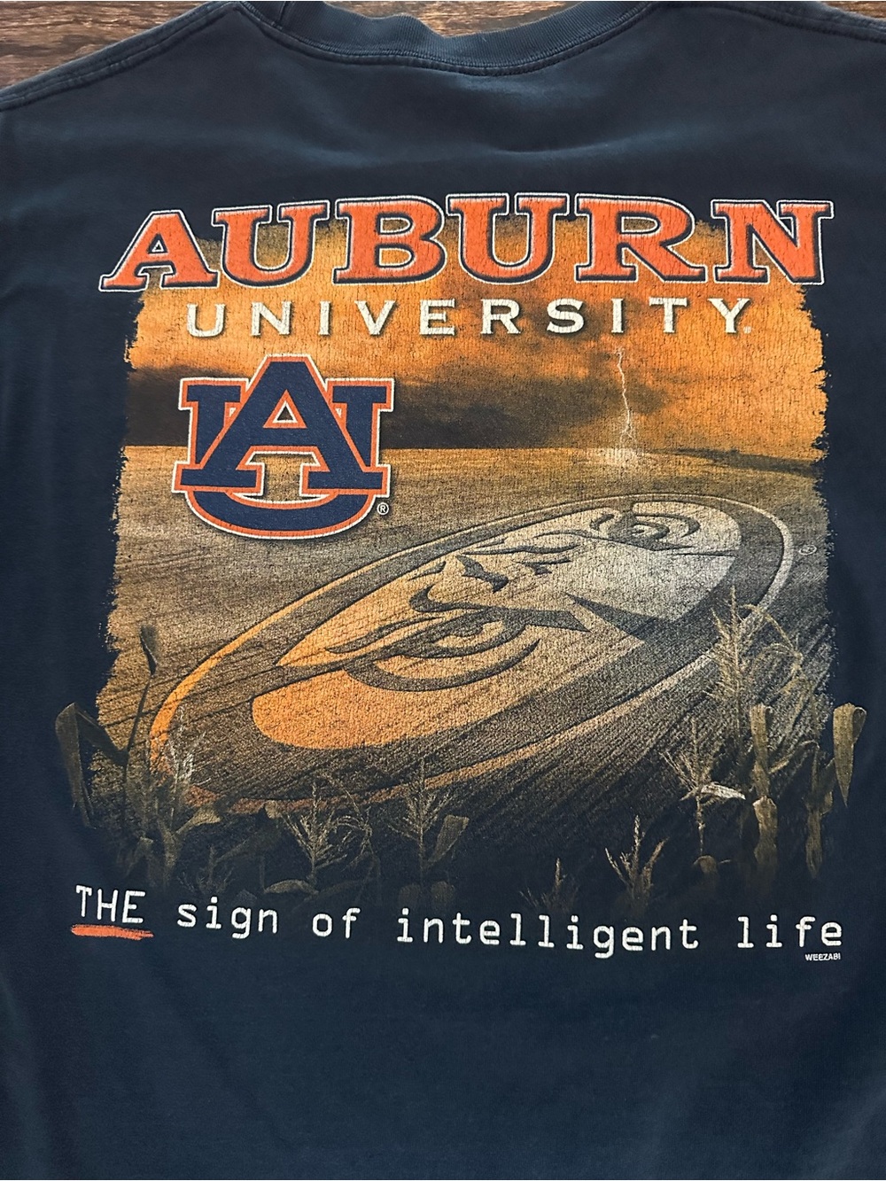 Auburn University Y2K Alstyle Graphic Tee L - Picture 6 of 9